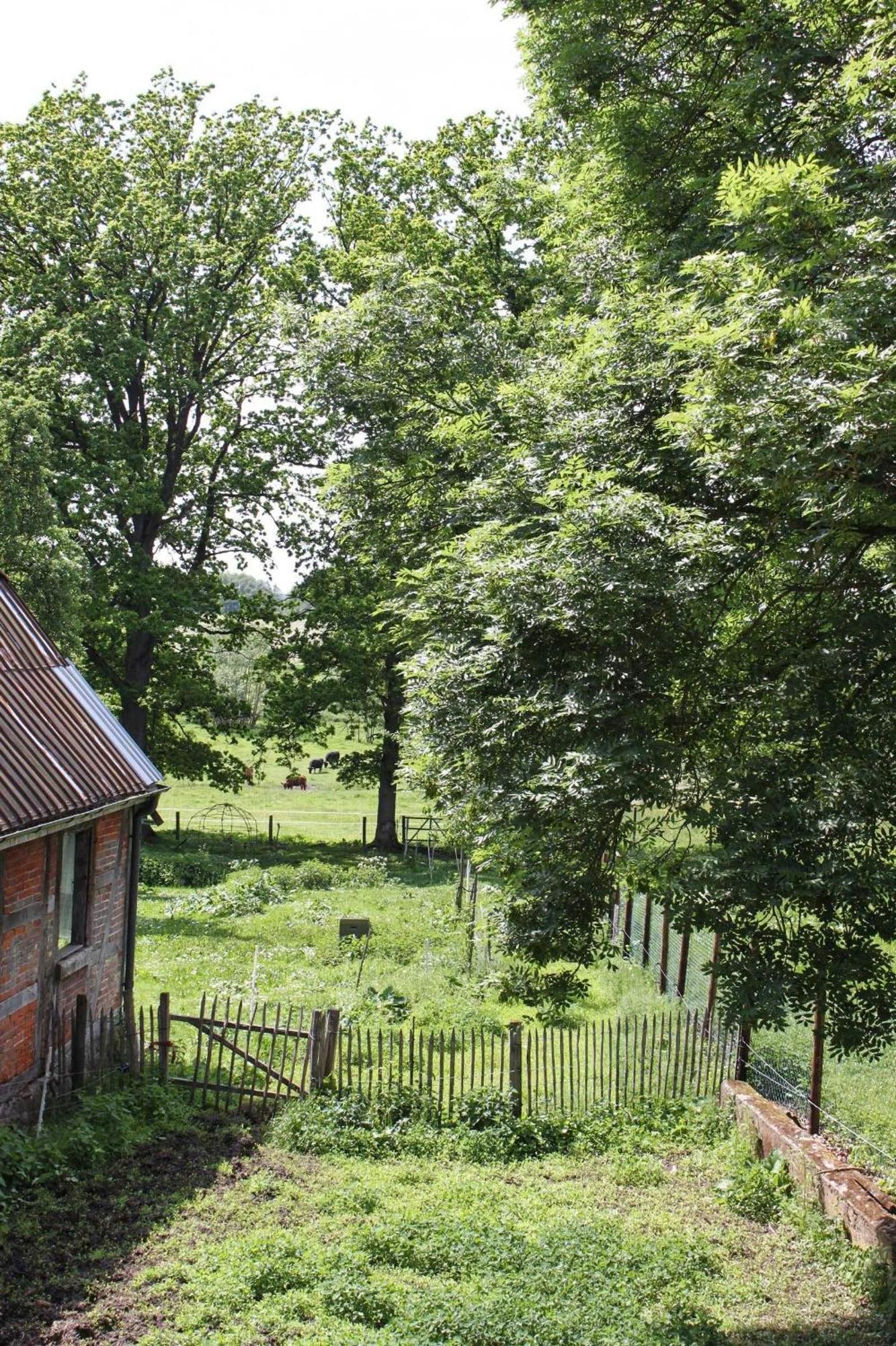 Ferienwohnung Auf Der Ruebenburg Barnsen Bagian luar foto
